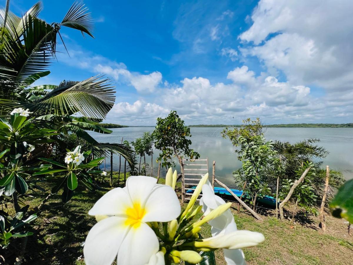 Ashansa Lagoon Resort Тангале Екстериор снимка