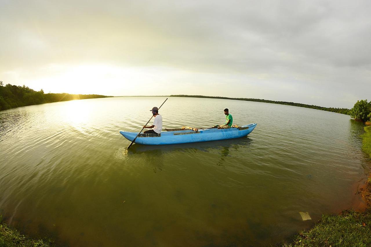 Ashansa Lagoon Resort Тангале Екстериор снимка